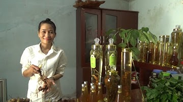 Phiên chợ sâm Ngọc Linh tháng 9 II Cơ sở Phi Trần - 0965196244