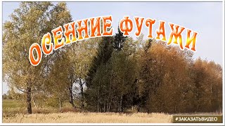 Осенние  Натуральные Футажи И Видеофоны. Деревья В Октябре 🍁 🌿 🍁