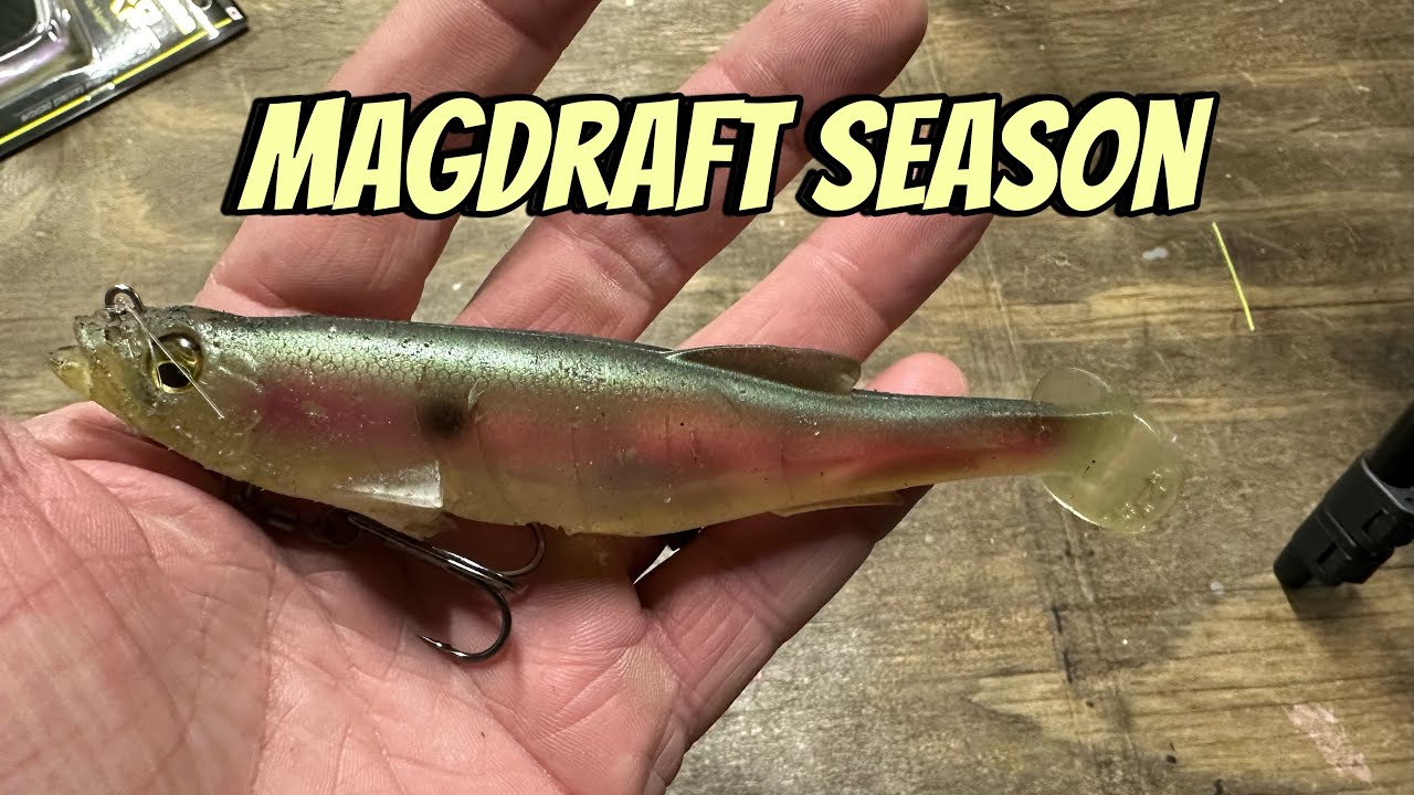 Magdraft Season Is Here!… Tips And Advice To Maximize The Lures Efficiency…  