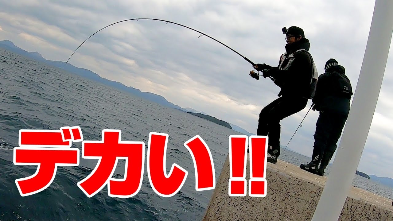 真冬の堤防からルアーで大物爆釣編 後編 釣りいろは 釣りあんてな