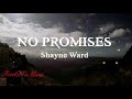 Shayne Ward: NO PROMISES (Lyrics)