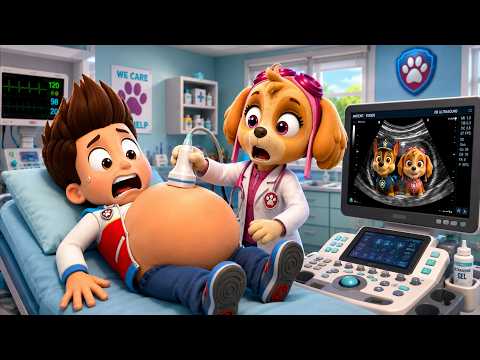 ¡Dios mío, RYDER está embarazada! ¡Doctor Skye , por favor, examínela!   PAw PAtrol en Español