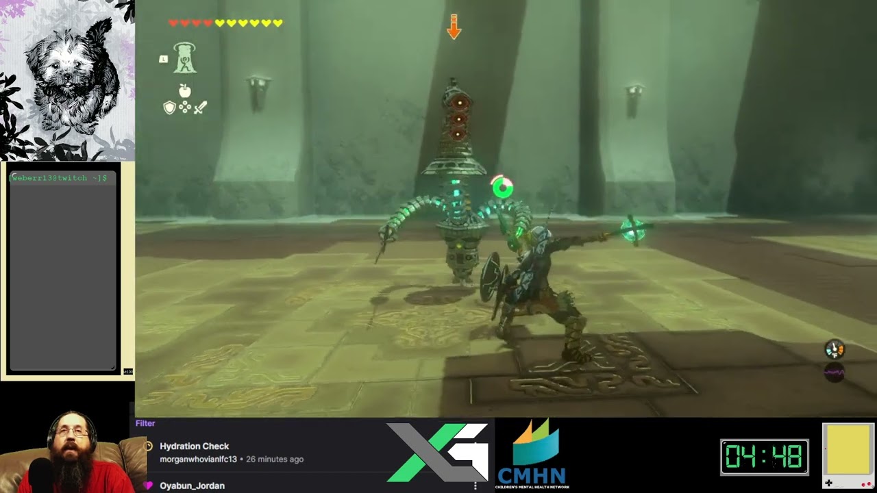 Zelda - Tears of the Kingdom - Kyononis Shrine - Combat Training