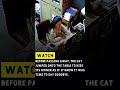 Must watch #hearttouching #cat #love