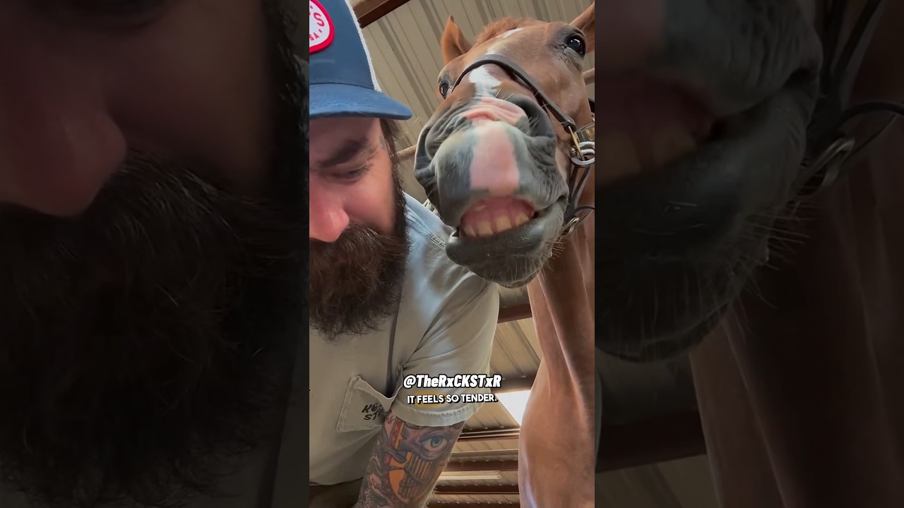 Реакция этой лошади на новые подковы просто уморительна!