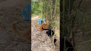 เดินเล่นตอนเช้าครับ ￼