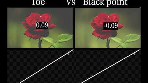 Toe Vs Black Point Difference | Nuke Node Value Study