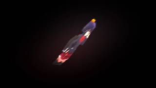 Teste de 3d e optical (full android)