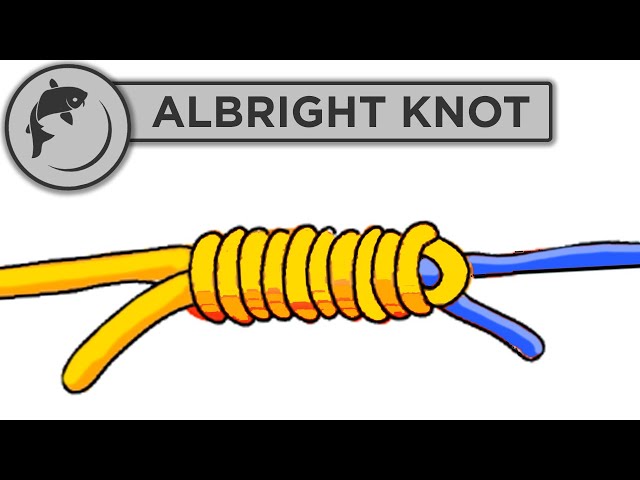 The Best Knot for Tying Fishing Line Together 