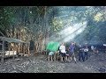 Burmese jungle trekking - Myanmar