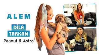 Dila Tarkan Doğruer Ve Köpekleri Astro Peanut Ile Birlikteyiz