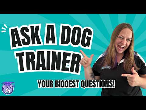 Service Dog Trainer Answers Your Questions!