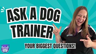 Service Dog Trainer Answers Your Questions!