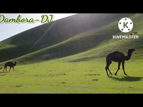 همراه مستانه گله باغ میمنگی بلبل دمبوره میمنه Dambora Gala Bagh Maimana Hamra Mastana 