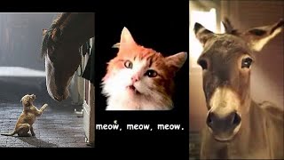 Adorable Animals Commercial Compilation 1