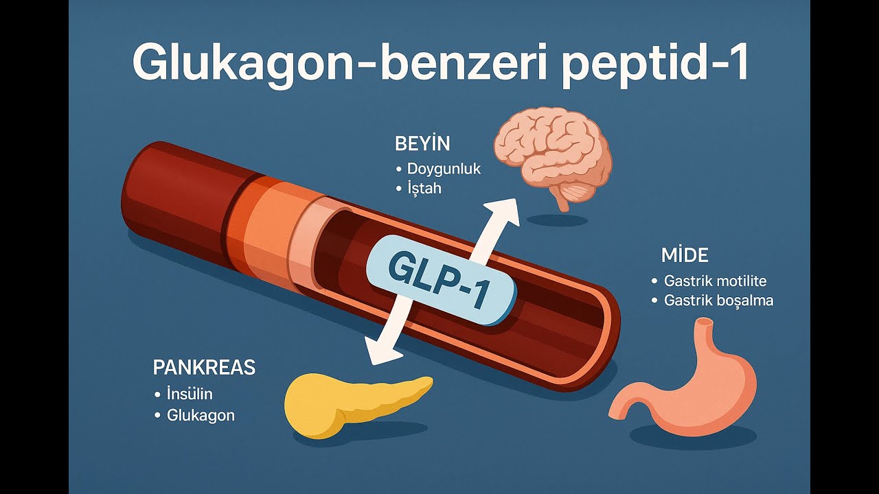 semaglutide içeren ilaçlar Yeni Nesil Zayıflama İlaçları: GLP-1 Agonistlerinin Tarihi ve Geleceği