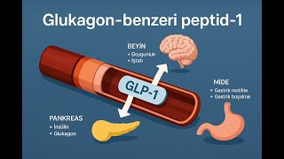 Yeni Nesil Zayıflama İlaçları Glp-1 Agonistlerinin Bilinmeyen Faydaları Ve Geleceği