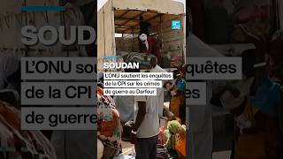 Soudan : l'ONU appuie les enquêtes de la CPI sur les crimes de guerre au Darfour • FRANCE 24