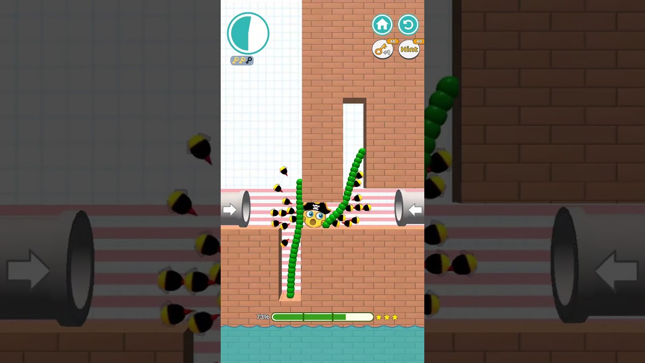 Save Balls: Brain Teaser Games - Level 325 Solution