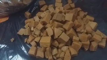 A quỳ mồi câu cá hiệu quả nhanh như chớp - a quỳ