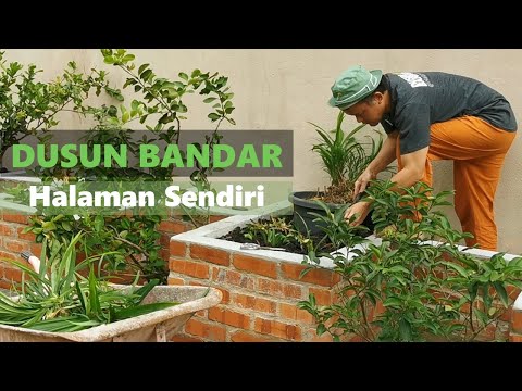 Video: Menjadi Tukang Kebun Bandar: Mencipta Kebun Sayur Bandar - Tahu Cara Berkebun