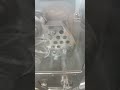Dry Granulation Machine | Low Temperature Processing for Heat-Sensitive Materials Like Probiotics