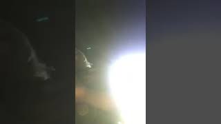 Motorcycle Club Member Arrested in Parker County