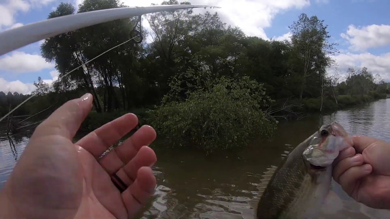 Summer Fishing - West Point Lake - YouTube