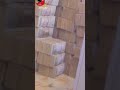 20 مليار جزائري كاش