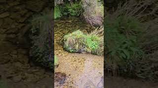 Poldras - Barranqueira de Casariños - Ruta dos Chozos de A Laxe - Serra do Suido - Pontevedra