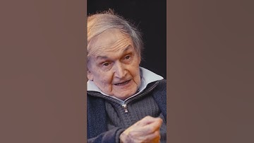 The Phenomenon of the Collapse of the Wave Function