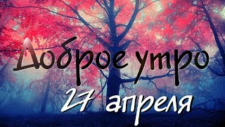 Доброе утро - Выпуск 152 (27.04.2019)