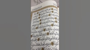 سورة النبأ بصوت يريح القلب