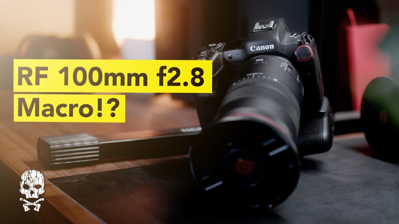 Why the Canon RF 100mm f2.8 L Macro IS USM is worth it!
