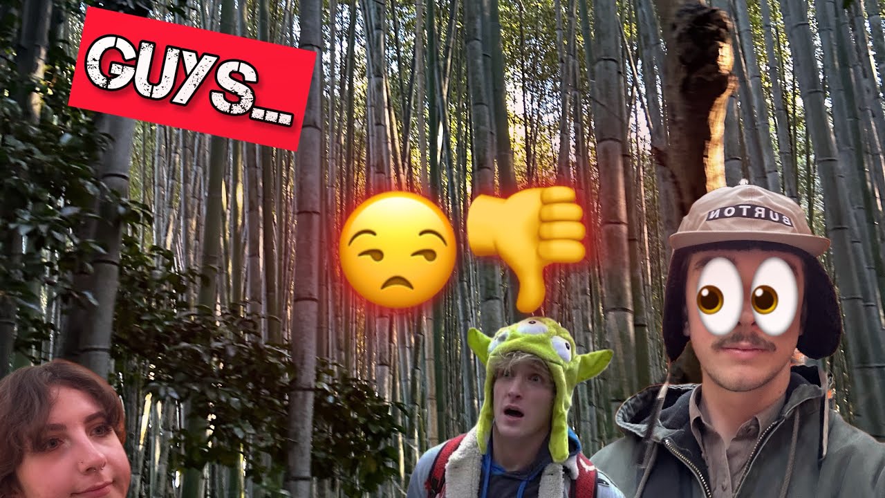 IM IN A FOREST | Japan vlog pt 3 