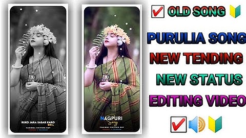 🔊NEW NAGPURI STATUS EDITING VIDEO! NAGPURI SONG! Alight motion editing video! Alight motion editing🤞