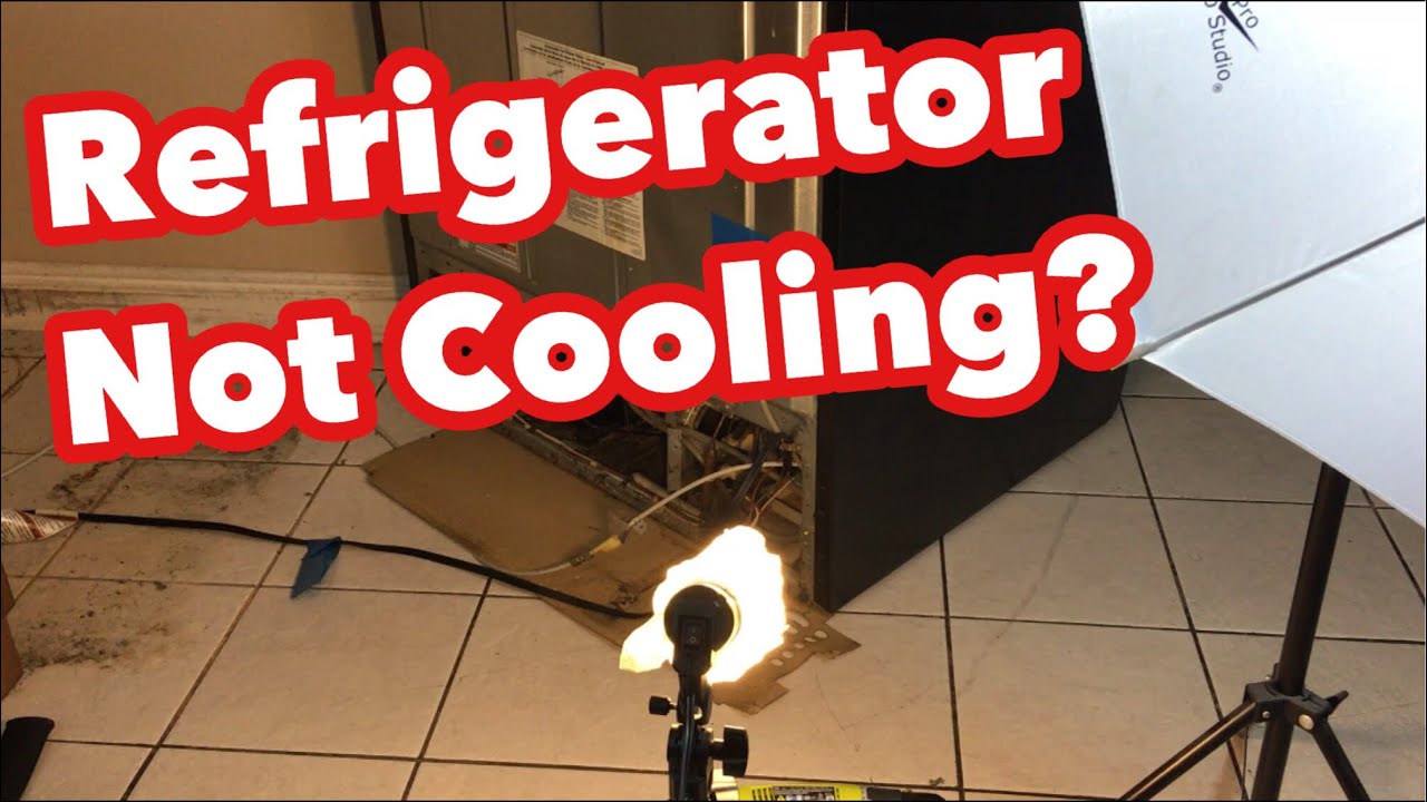 Refrigerator Not Cooling? Try This For How To Fix Your