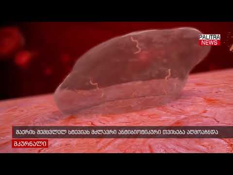 შაქრის შემცვლელ სტევიას ძლიერი ანტიბიოტიკური თვისება აღმოაჩნდა