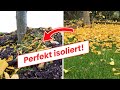 So eingepackt erfriert keine Staude im Beet! Herbstlaub-Tipp 🍂