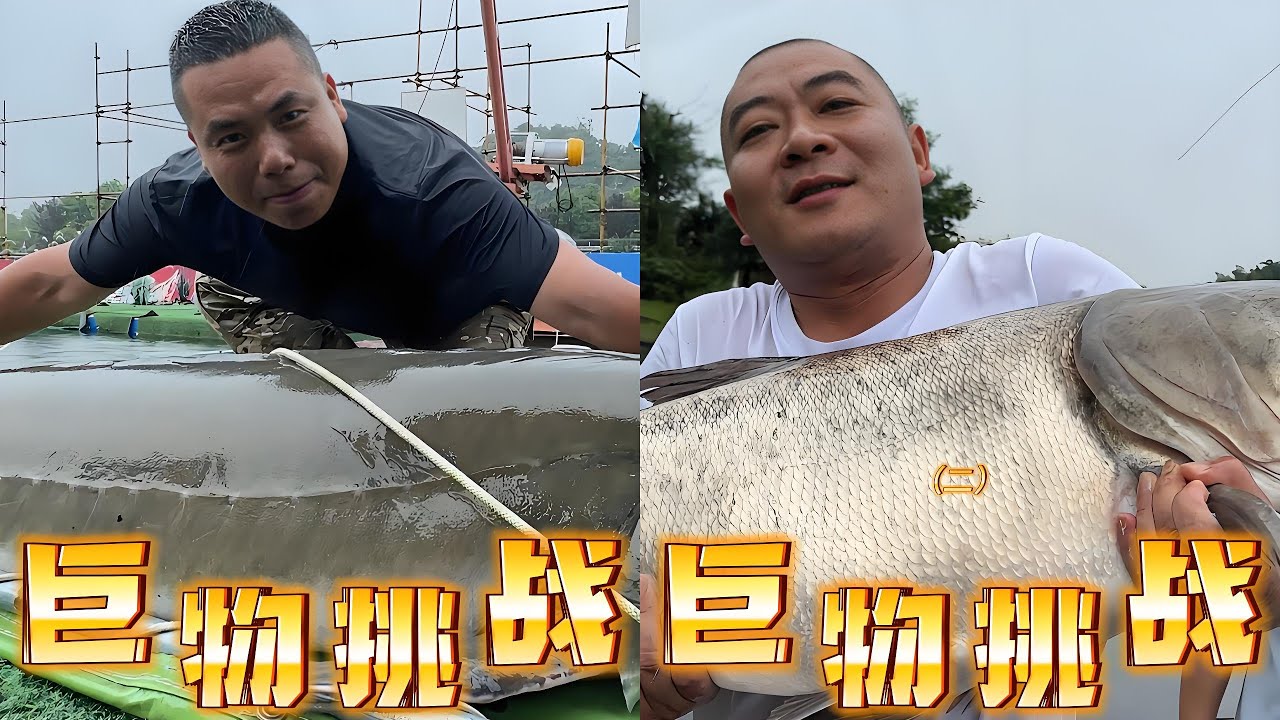 轻轻松松钓上210斤巨物，都干翻全场了咋还要受惩罚，｜赖了两天终于钓上40斤大鱼一雪前耻