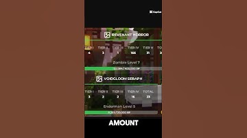 What SkyBlock Level Is He? (2) #minecraft #skyblock #hypixel