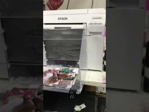 Принтер Epson Surelab SL-D800 (C11CH75301CX), видео 1