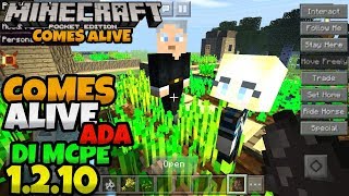 Cara Memasang Mod COMES ALIVE di MCPE 1.2.10 Atau versi dibawahnya screenshot 2