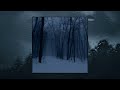 Dark Snowy Night Slowed Reverb Version Daniel Mp3 Dark Snowy Night Slowed Reverb Version Daniel Mp3