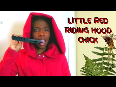 LITTLE RED RIDING HOOD CHICK RAP - YouTube