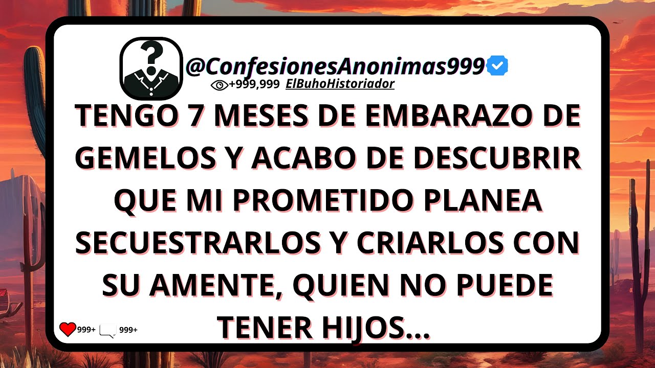 Tengo 7 meses de embarazo de gemelos y acabo de descubrir que mi prometido planea dejarme...