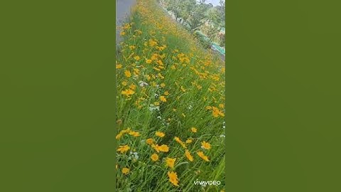 Địa điểm đi dạo đẹp vào cuối tuần ở Seoul, cạnh ga 신목동역 con đường dọc sông Hàn