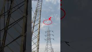 👉 Wave Trap aur OPGW kyu lagate hain? | Transmission Line Secrets ⚡