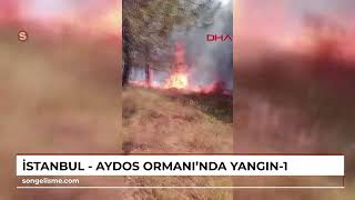 İstanbul - Aydos Ormanında Yangın - 1 Resimi