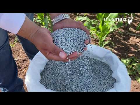 Video: Fertilizante 